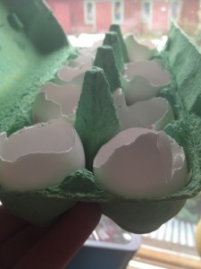 eggshell toxicfree culturing plasticfree